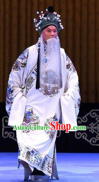 Bai Di Cheng Chinese Peking Opera Laosheng Garment Costumes and Headwear Beijing Opera Lord Robe Apparels Emperor Liu Bei Clothing