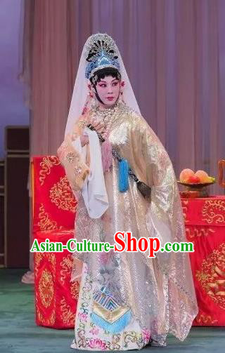 Chinese Beijing Opera Goddess Apparels Daming Prefecture Costumes and Headpieces Traditional Peking Opera Young Female Dress Hua Tan Garment