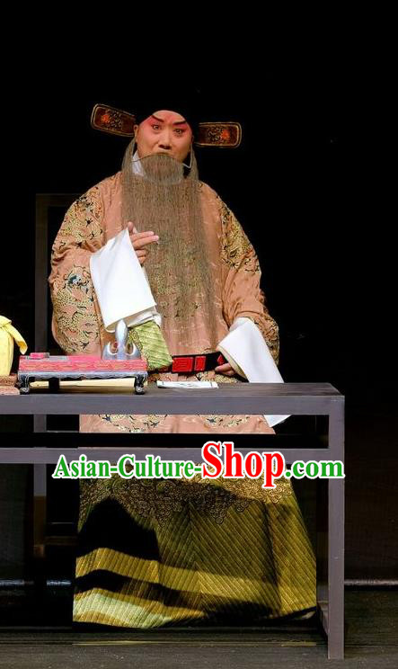 Shen Tou Ci Tang Chinese Peking Opera Official Lu Bing Garment Costumes and Headwear Beijing Opera Laosheng Apparels Elderly Male Clothing