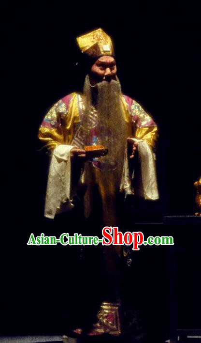 Shen Tou Ci Tang Chinese Peking Opera Elderly Male Garment Costumes and Headwear Beijing Opera Laosheng Apparels Official Lu Bing Clothing