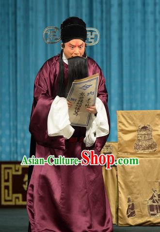 Chun Qiu Bi Chinese Peking Opera Official Wang Shaozhi Garment Costumes and Headwear Beijing Opera Laosheng Apparels Elderly Male Clothing