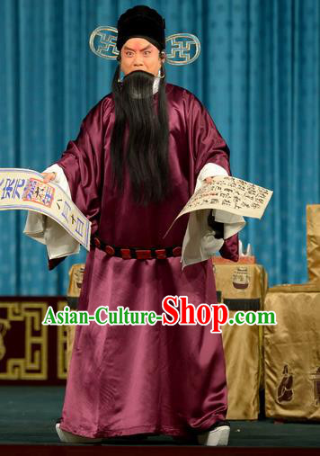 Chun Qiu Bi Chinese Peking Opera Official Wang Shaozhi Garment Costumes and Headwear Beijing Opera Laosheng Apparels Elderly Male Clothing