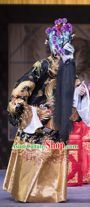 Yang Paifeng Chinese Peking Opera Elderly Male Yang Yanzhao Garment Costumes and Headwear Beijing Opera Jing Apparels Laosheng Clothing