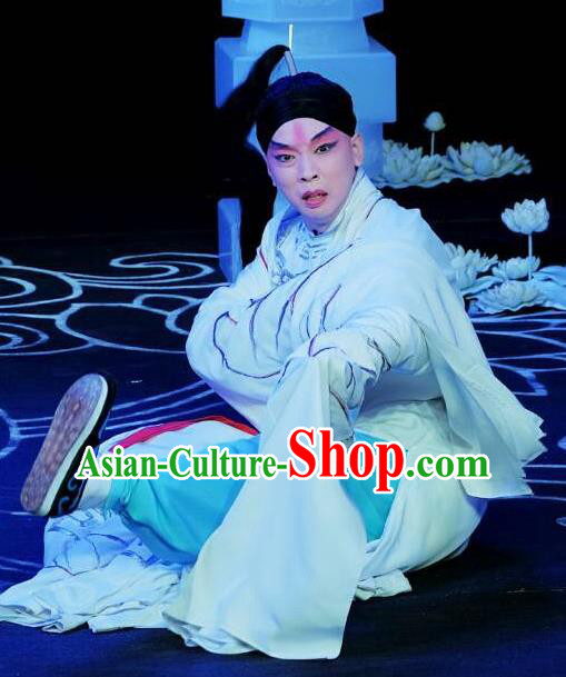 A Love Beyond Chinese Peking Opera Niche Garment Costumes and Headwear Beijing Opera Xiaosheng Apparels Young Male Cui Ning Clothing