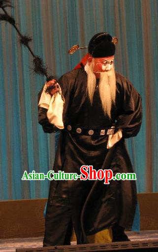 Fish and Algae Palace Chinese Peking Opera Old Official Garment Costumes and Headwear Beijing Opera Elderly Male Apparels Clothing