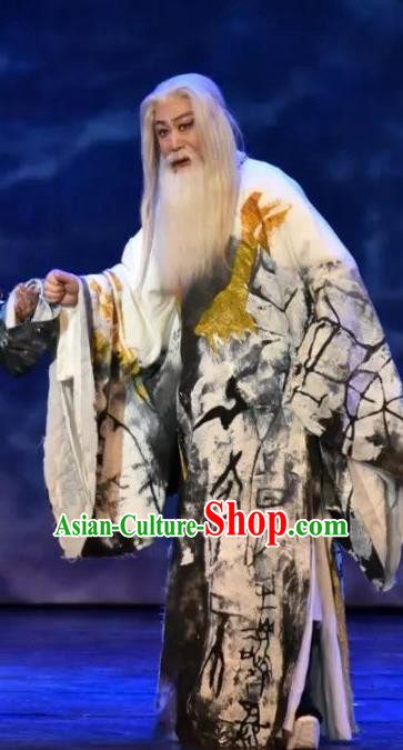 Da Shun Chinese Peking Opera Laosheng Garment Costumes and Headwear Beijing Opera Elderly Male Apparels Emperor Shun Clothing