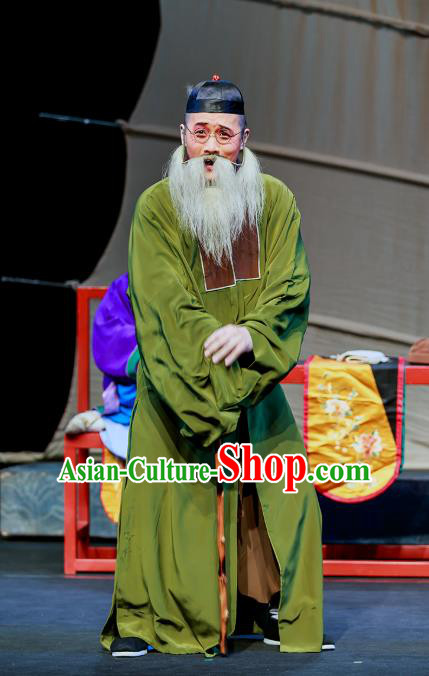 Six Chapters of A Floating Life Chinese Peking Opera Old Man Apparels Costumes and Headpieces Beijing Opera Laosheng Garment Clothing