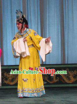 Chinese Beijing Opera Mistress Wang Xifeng Garment The Dream Of Red Mansions Costumes and Hair Accessories Traditional Peking Opera Young Female Yellow Dress Apparels