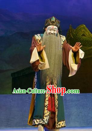Princess Changping Chinese Peking Opera Jing Garment Costumes and Headwear Beijing Opera Elderly Male Apparels Clothing