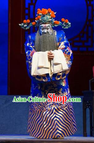 Princess Changping Chinese Peking Opera Minister Garment Costumes and Headwear Beijing Opera Elderly Male Apparels Official Zhou Zhong Clothing