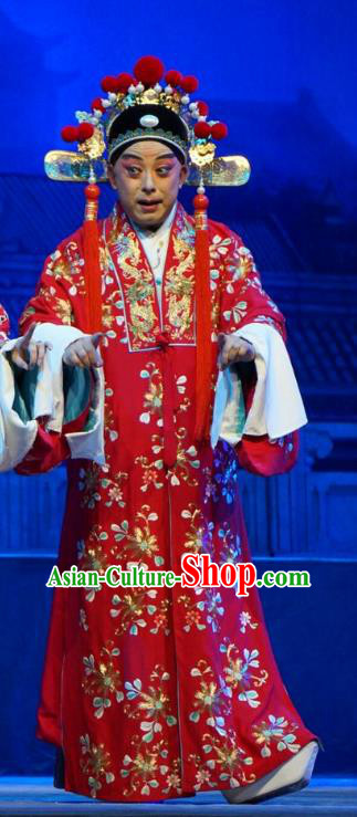Princess Changping Chinese Peking Opera Bridegroom Garment Costumes and Headwear Beijing Opera Young Male Apparels Scholar Zhou Shixian Wedding Clothing