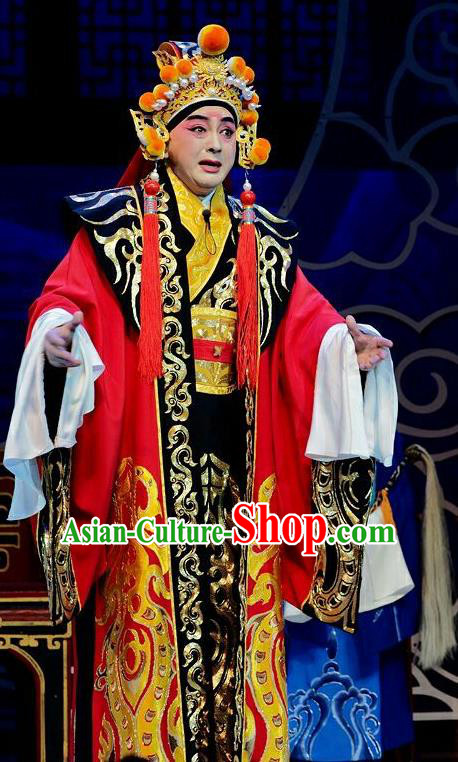 Qi Nv Wu Rong Chinese Peking Opera Young Male Garment Costumes and Headwear Beijing Opera Xiaosheng Apparels King Zhao Clothing