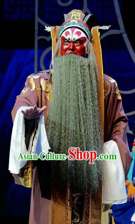 Qi Nv Wu Rong Chinese Peking Opera Elderly Male Garment Costumes and Headwear Beijing Opera Apparels Old Chancellor Clothing