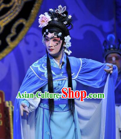 Chinese Beijing Opera Swordsman Apparels Qi Nv Wu Rong Costumes and Headdress Traditional Peking Opera Wudan Dress Martial Female Garment