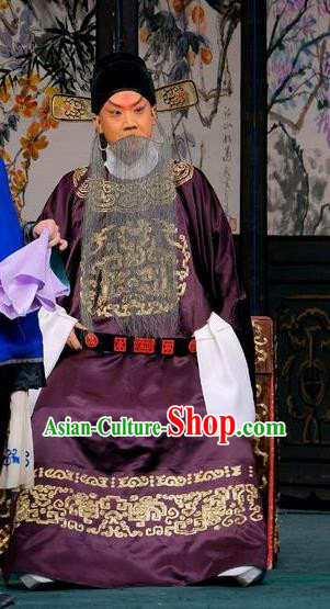 Gai Rong Zhan Fu Chinese Peking Opera Minister Garment Costumes and Headwear Beijing Opera Elderly Male Apparels Officer Wan Hongfei Clothing