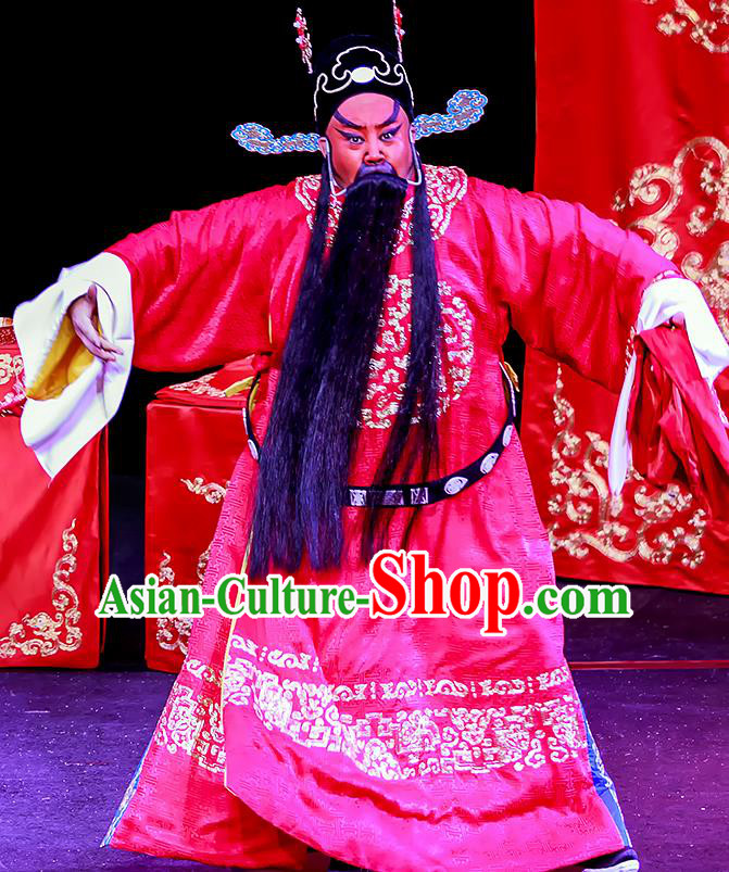 Chun Ri Yan Chinese Peking Opera Bridegroom Fan Sheng Garment Costumes and Headwear Beijing Opera Official Apparels General Clothing