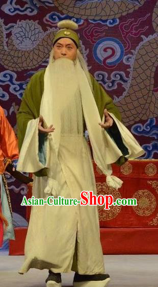 Shen Ting Ling Chinese Peking Opera Laosheng Apparels Costumes and Headpieces Beijing Opera Garment Old Man Clothing