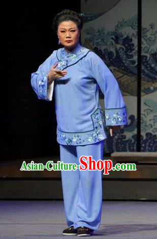 Chinese Beijing Opera Country Woman Garment Costumes and Hair Accessories Traditional Peking Opera Dress Apparels