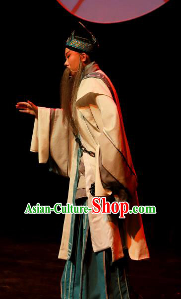 Xi Zi Zai Wang Chinese Peking Opera Old Man Apparels Costumes and Headpieces Beijing Opera Elderly Male Garment Preceptor Wu Zixu Clothing