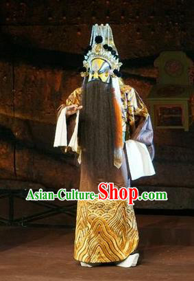 Wu Qi Chinese Peking Opera King Of Lu Apparels Costumes and Headpieces Beijing Opera Elderly Male Garment Lord Clothing