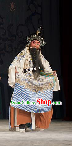 Zhou Ren Xian Sao Chinese Peking Opera Laosheng Apparels Costumes and Headpieces Beijing Opera Minister Garment Official Du Wenxue Clothing