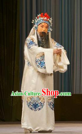 Mu Yang Juan Chinese Peking Opera Elderly Male Liu Zhiyuan Apparels Costumes and Headpieces Beijing Opera Official Garment Minister Clothing
