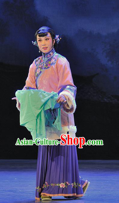 Chinese Beijing Opera Young Mistress Rui Jue Garment Luo Mei Yin Costumes and Hair Accessories Traditional Peking Opera Rich Female Dress Hua Tan Apparels