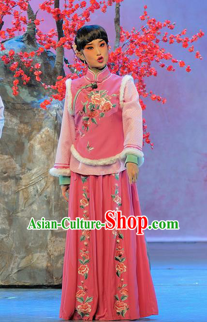 Chinese Beijing Opera Rich Lady Garment Luo Mei Yin Costumes and Hair Accessories Traditional Peking Opera Xiaodan Qin Dress Young Beauty Apparels