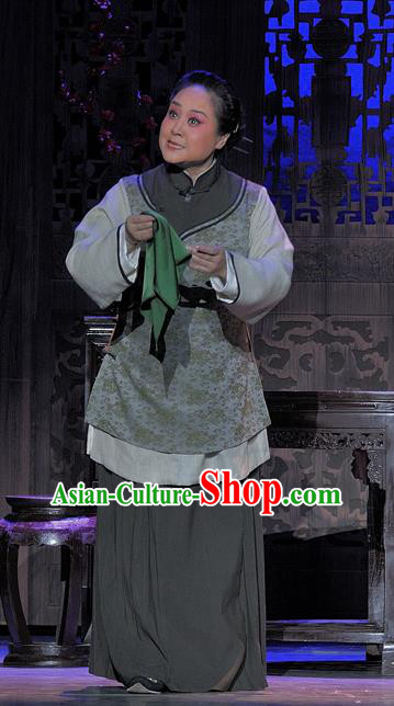 Chinese Beijing Opera Old Woman Garment Luo Mei Yin Costumes and Hair Accessories Traditional Peking Opera Elderly Female Servant Dress Apparels