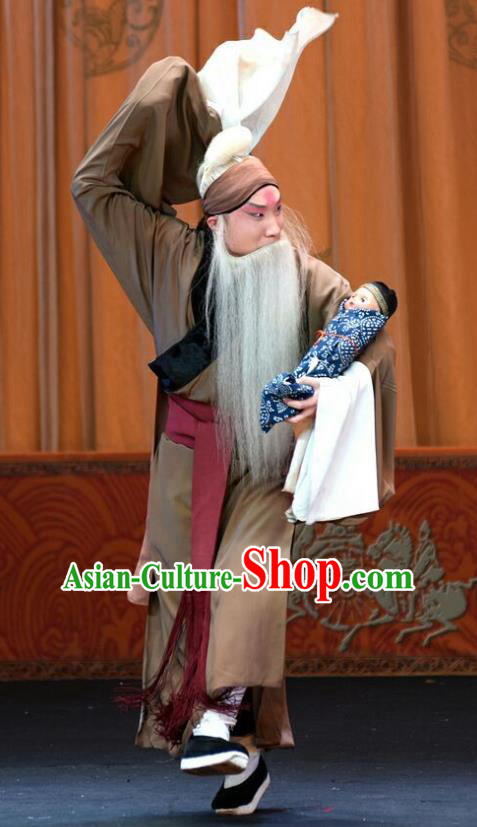 Li Sanniang Chinese Peking Opera Laosheng Apparels Costumes and Headpieces Beijing Opera Elderly Male Garment Clothing