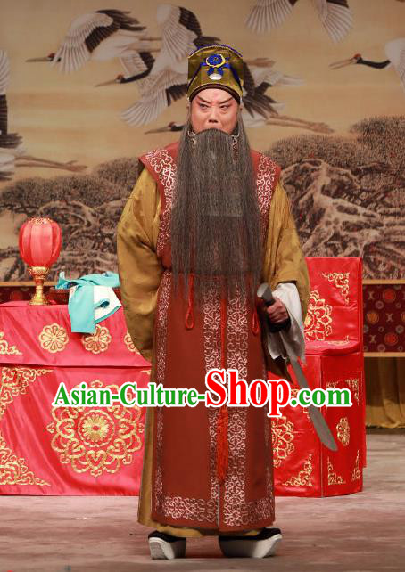 Ye Zhu Lin Chinese Peking Opera Laosheng Apparels Costumes and Headpieces Beijing Opera Elderly Male Song Jiang Garment Clothing