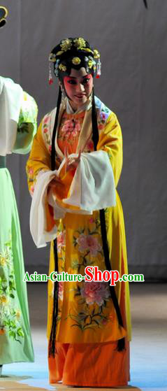 Chinese Beijing Opera Tang Wan Garment Xiaodan Costumes and Hair Accessories Traditional Peking Opera Hua Tan Dress Young Beauty Apparels