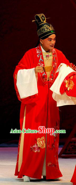 Tang Wan Chinese Peking Opera Bridegroom Lu You Apparels Costumes and Headpieces Beijing Opera Xiaosheng Wedding Garment Scholar Clothing