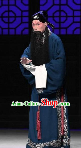 Xiang Lian Case Chinese Peking Opera Laosheng Apparels Costumes and Headpieces Beijing Opera Scholar Garment Elderly Male Chen Shimei Clothing