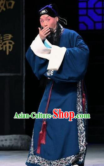 Xiang Lian Case Chinese Peking Opera Laosheng Apparels Costumes and Headpieces Beijing Opera Scholar Garment Elderly Male Chen Shimei Clothing