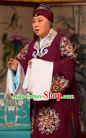 Chinese Beijing Opera Laodan Garment Snow in June Costumes and Hair Accessories Traditional Peking Opera Pantaloon Dress Dame Apparels