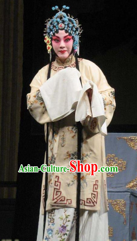 Chinese Beijing Opera Young Lady Garment Snow in June Costumes and Hair Accessories Traditional Peking Opera Actress Dress Dou E Apparels