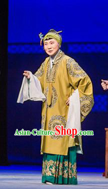 Chinese Beijing Opera Countess Garment Ming City Wall Costumes and Hair Accessories Traditional Peking Opera Dame Dress Elderly Female Apparels