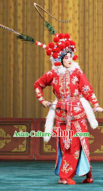 Chinese Beijing Opera Martial Female Garment Actress Costumes and Hair Accessories Traditional Peking Opera Wudan Red Dress Swordswoman Xu Peizhu Apparels