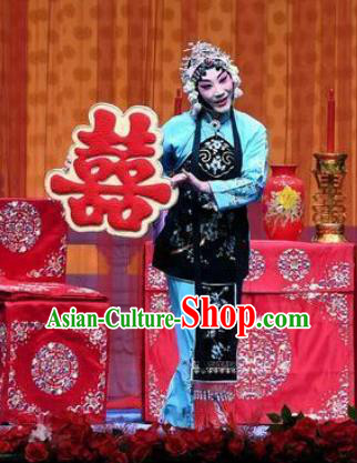 Chinese Beijing Opera Young Lady Garment Jie Mei Yi Jia Costumes and Hair Accessories Traditional Peking Opera Xiaodan Dress Actress Zhang Sumei Apparels