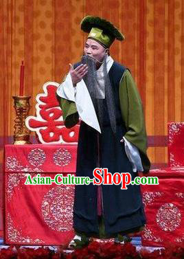 Jie Mei Yi Jia Chinese Peking Opera Laosheng Apparels Costumes and Headpieces Beijing Opera Elderly Male Garment Landlord Zhang Youwang Clothing