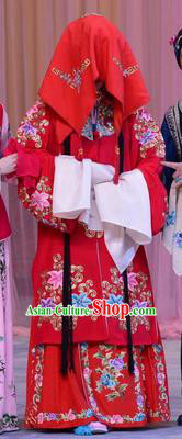 Chinese Beijing Opera Huadan Garment Costumes and Hair Accessories The Jade Hairpin Traditional Peking Opera Bride Wedding Dress Zhang Yuzhen Apparels
