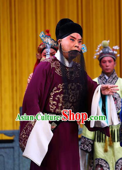 Zeng Ti Pao Chinese Peking Opera Old Man Apparels Costumes and Headpieces Beijing Opera Official Zhang Lu Garment Clothing