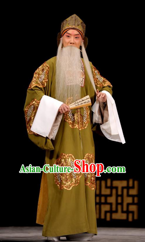 Ding Sheng Chun Qiu Chinese Peking Opera Laosheng Apparels Costumes and Headpieces Beijing Opera Elderly Male Garment Clothing