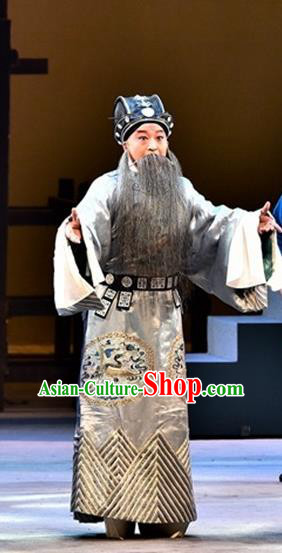 Ming City Wall Chinese Peking Opera Laosheng Apparels Costumes and Headpieces Beijing Opera Elderly Male Garment Old Official Clothing
