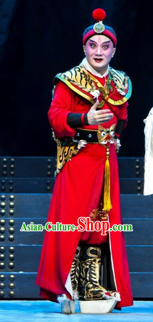 The Tiger Generals Chinese Peking Opera General Li Cunxiao Apparels Costumes and Headpieces Beijing Opera Martial Male Garment Wusheng Clothing