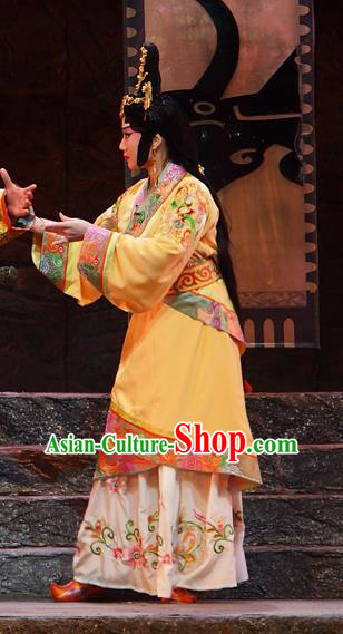 Chinese Beijing Opera Actress Garment Costumes and Hair Accessories King of Qi Tian Heng Traditional Peking Opera Hua Tan Dress Court Lady Apparels