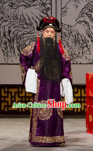 Long Tan Bao Luo Chinese Peking Opera Martial Man Bao Hongxun Apparels Costumes and Headpieces Beijing Opera Takefu Garment Clothing