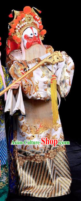 Tai Hou Gai Jia Chinese Sichuan Opera Elderly Male Apparels Costumes and Headpieces Peking Opera Jing Garment Prime Minister Clothing