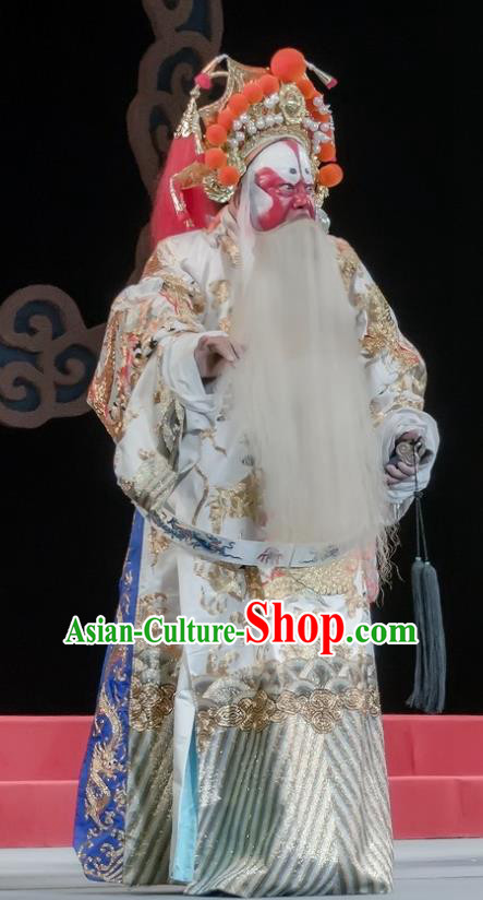 Tai Hou Gai Jia Chinese Sichuan Opera Elderly Male Apparels Costumes and Headpieces Peking Opera Jing Garment Prime Minister Clothing